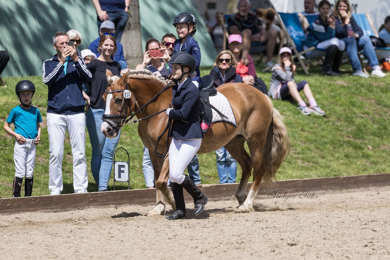 Bild 35 - Pony Akademie Turnier